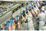 [Na mídia] Exportação recorde não evita queda de preço da carne suína no Brasil
