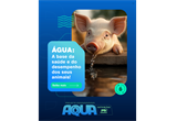 Tudo sobre o Projeto Aqua: qualidade da água para melhor desempenho na suinocultura
